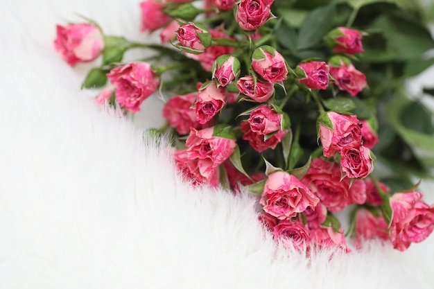 Bouquet of red roses on a white background