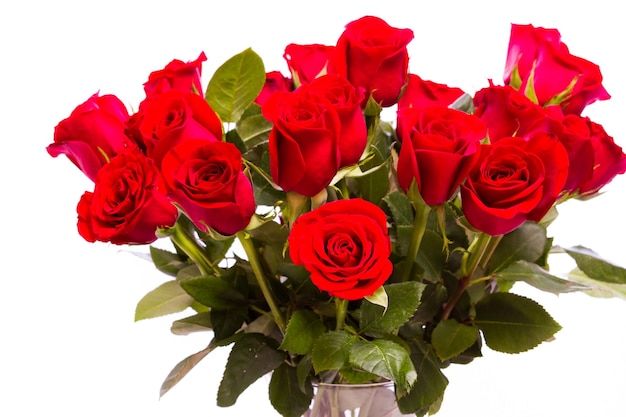 Bouquet of red roses on white backround.