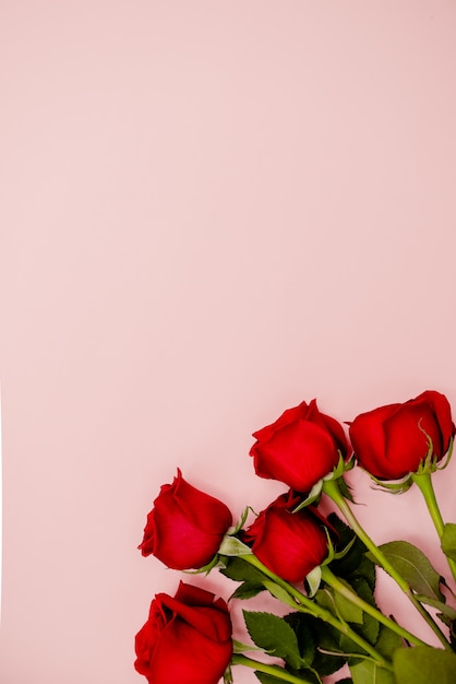 Bouquet of red  roses with a red ribbon. 