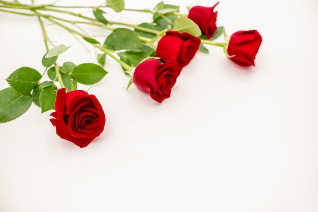 Bouquet of red  roses with a red ribbon. 