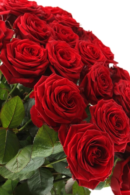 Bouquet of red roses