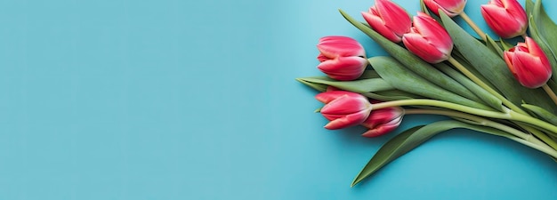 Bouquet of red tulip on blue Background Top view with copy space