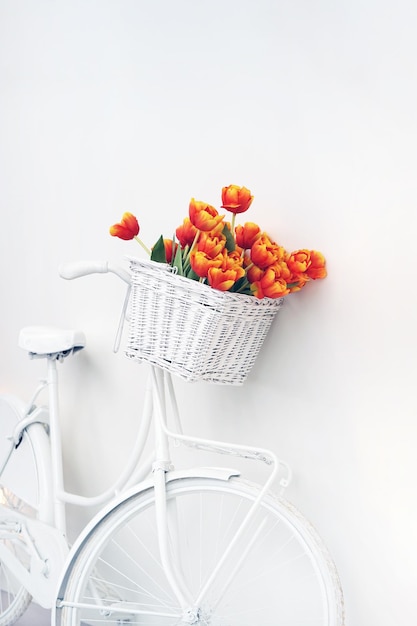 Bouquet of red tulips in a basket on a white background