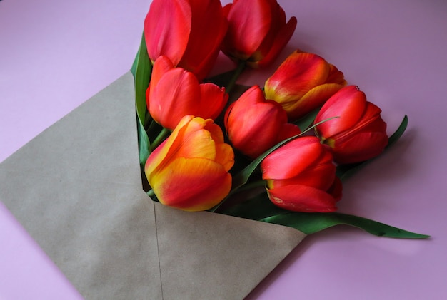 bouquet of red tulips in an envelope on a pink background