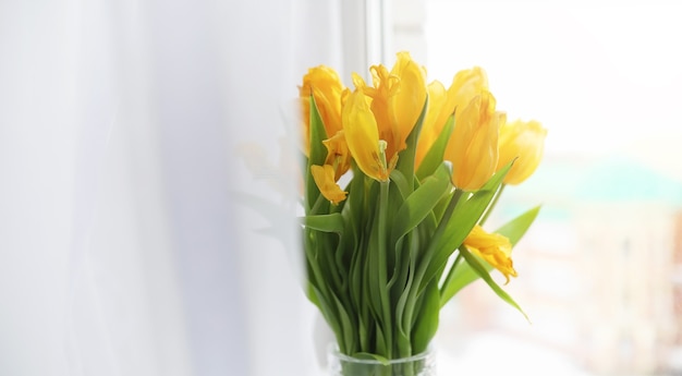 A bouquet of red tulips in a vase on the windowsill. A gift for a woman's day from red tulip flowers. Beautiful red flowers in a vase by the window.