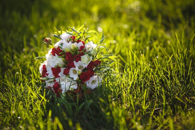 Bouquet of red and white roses flowers on the grass with evening sun