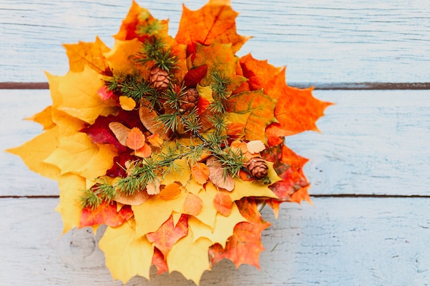 Bouquet of red and yellow dry autumn maple leaves stacked on top of each other, on top of them are maple seeds, and a sprig of larch with cones, on a blue wooden background. fall concept, flat lay