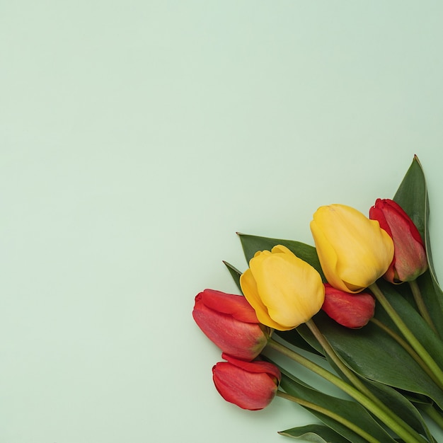 A bouquet of red and yellow tulips with leaves on a green background to congratulate loved ones during Valentine's Day or Mother's Day. Minimal concept of spring and important festive events.