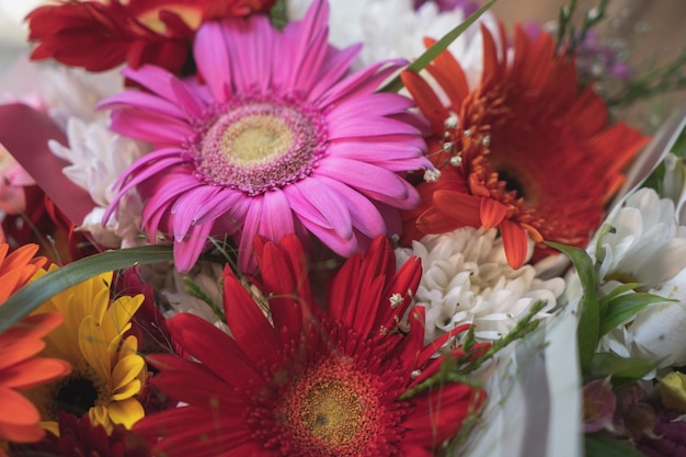 A bouquet of redtinged flowers