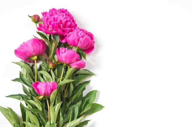 Bouquet of romantic pink peony flowers on white. copy space. top view