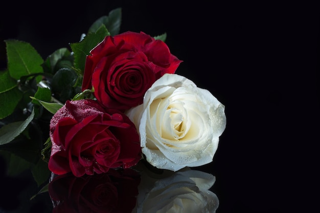 Bouquet of roses on a black background with reflection