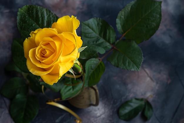 Bouquet of roses for the holiday Women's day Valentine's day name day On a dark background