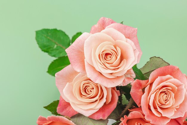 Un bouquet di rose in vaso su uno sfondo verde pastello bloomin