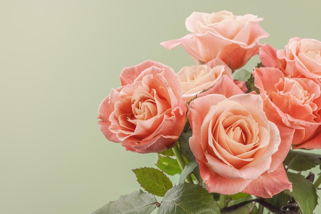 Photo a bouquet of roses in vase on a pastel green background bloomin