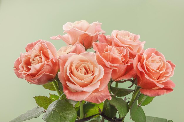 Photo a bouquet of roses in vase on a pastel green background bloomin