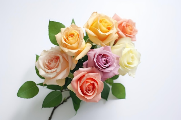 A bouquet of roses on a white background