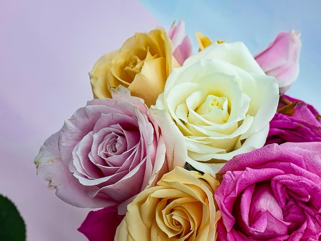 Букет роз с розовыми, желтыми и белыми розами.