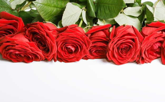 A bouquet of scarlet roses on a white background with a copy of the space.