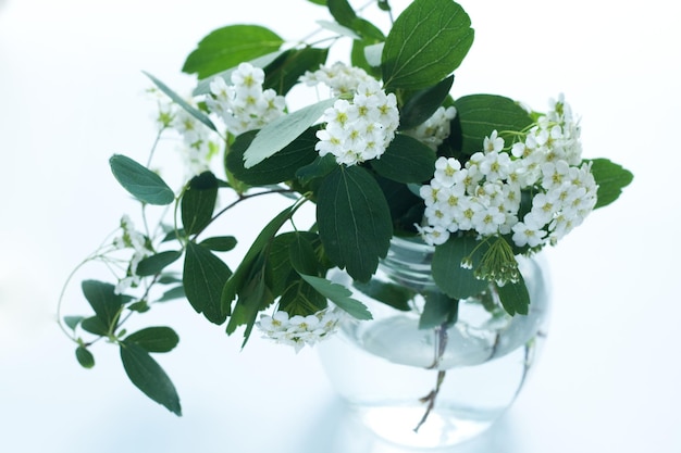 透明な花瓶に立っている小さな白い花の花束