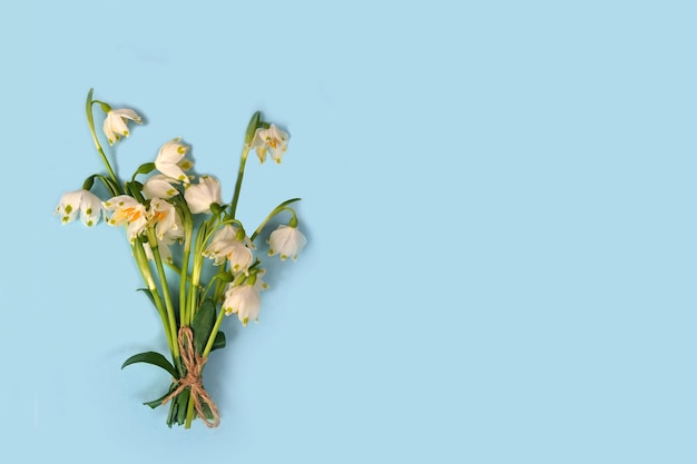 Bouquet snowdrops on blue background flat lay Space for text