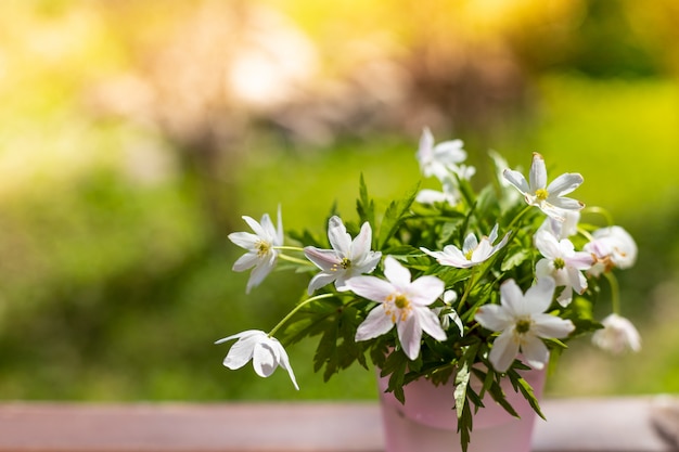 Bouquet of snowdrops in a little vase on nature background