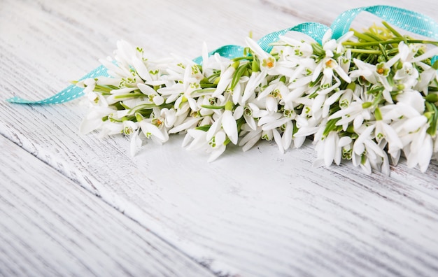 Bouquet of snowdrops