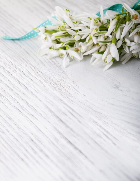 Bouquet of snowdrops