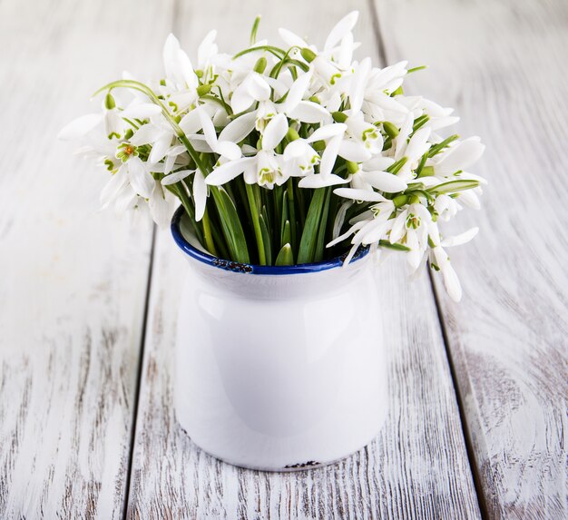 Bouquet of snowdrops