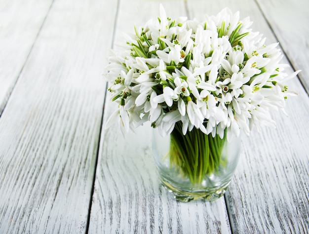 Bouquet of snowdrops