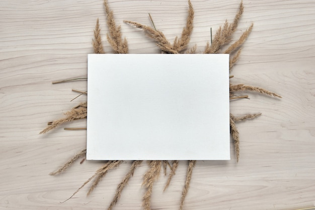 A bouquet of spikelets. Frame of dry reeds isolated on white background. Template mockup blank paper. Abstract dry grass flowers, herbs on wooden table on pastel beige background. Stylish home decor.