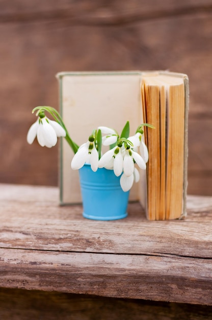 Bouquet of spring first snowdrop flowers in blue vase near open old book on rustic wooden table