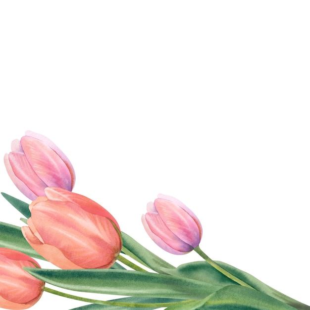 Photo bouquet of spring flowers pink and peach tulips watercolor illustration handdrawn botanical painting postcard with a place for text template clipart frame