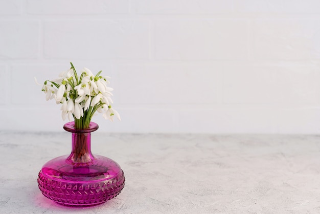 Bouquet of spring flowers of snowdrops in a glass vase of fuchsia color