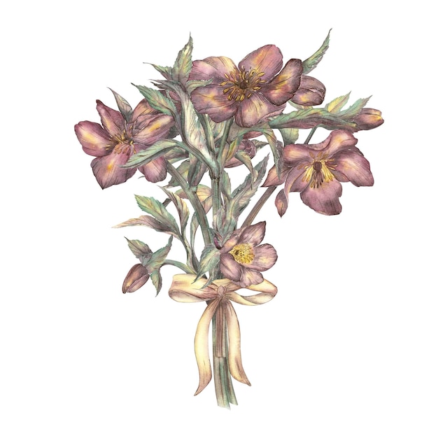 수채화 된 봄 꽃의 꽃줄기 노란 리본 활을 가진 은 헬레보어 레트로 스타일의 식물 일러스트레이션 포스트카드 템플릿 섬유 축하 생일 사무실