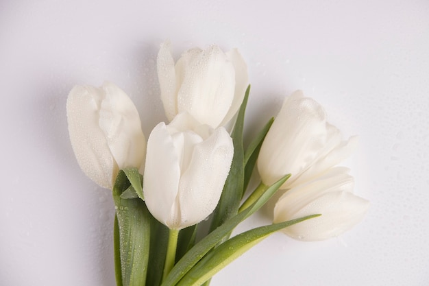 Foto bouquet di fiori primaverili. vista dall'alto di tulipani bianchi