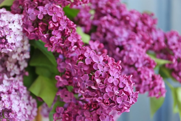Bouquet of spring lilac flowers closeup
