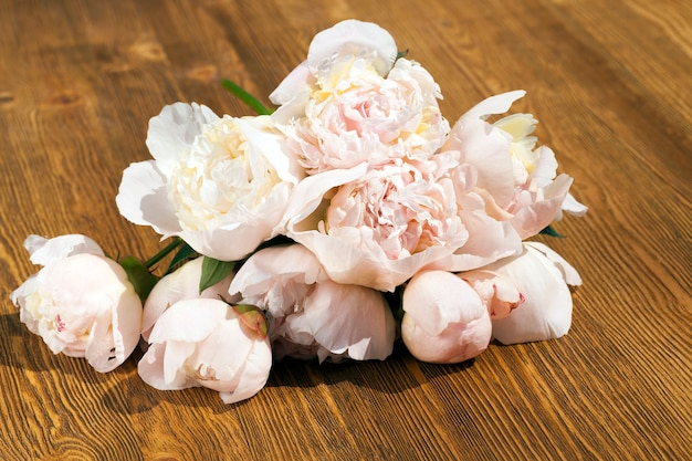 A bouquet of spring peonies, lying on a wooden surface. close up