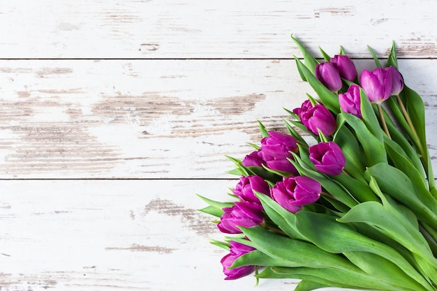 Bouquet of spring purple tulips on white wooden background top view Spring background