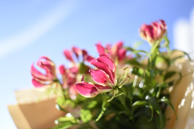 Foto bouquet di fiori rosa primaverili san valentino