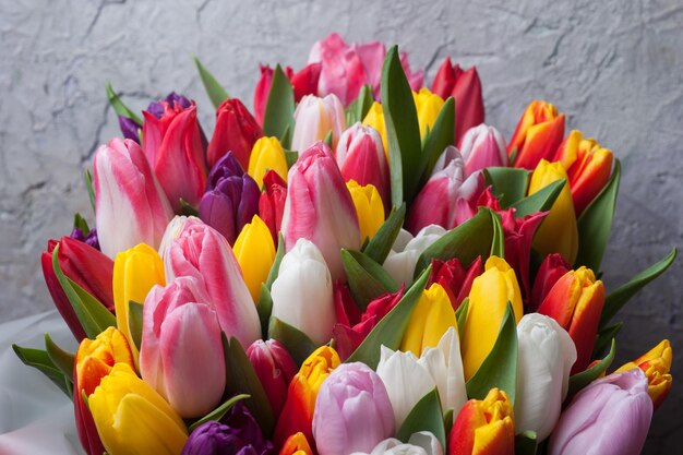 A bouquet of spring tulips with multicolored flowers on a gray wall background