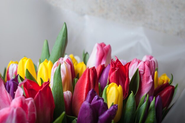 灰色の壁の背景に分離された紙に包まれた色とりどりの花と春のチューリップの花束