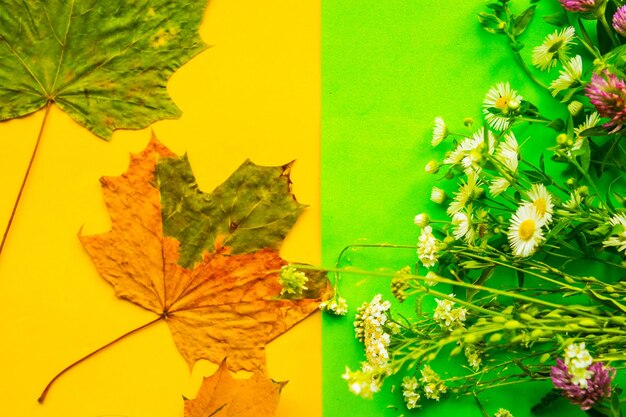 Bouquet of summer field flowers opposite dry autumn maple leafs goodbye summer hello autumn concept