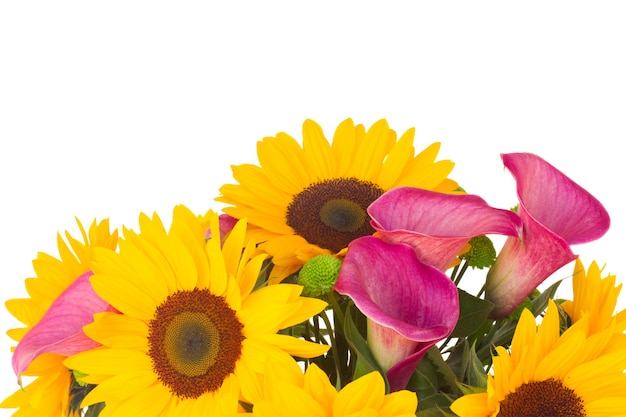 Bouquet of   sunflowers and callas  close up isolated