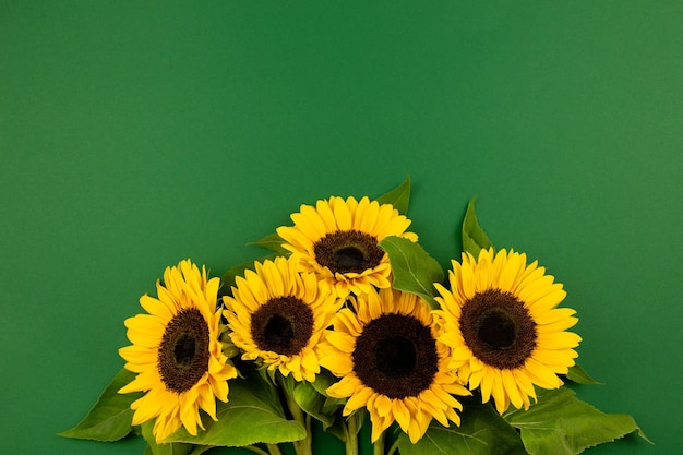 Bouquet di girasoli su sfondo verde scuro. san valentino, donna, festa della mamma, pasqua, compleanno o matrimonio, vacanze primaverili. vista dall'alto. copia spazio.