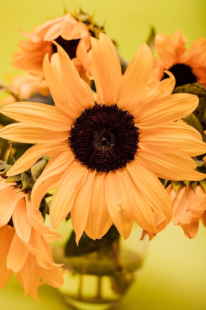 Bouquet of sunflowers in a glass vase on a light green background