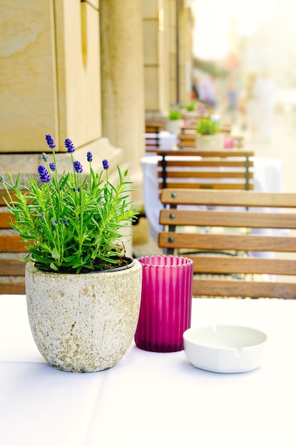 Bouquet on the table