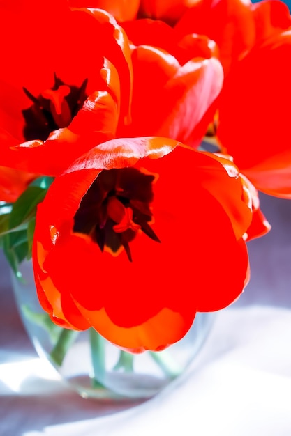 チューリップの花の花束 休日の花の装飾