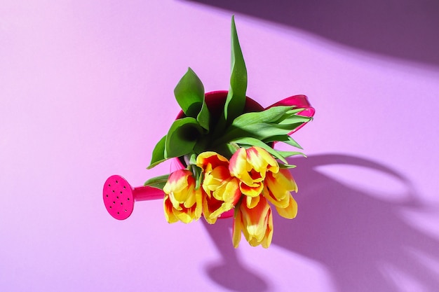 A bouquet of tulips as a gift for march  mothers day valentines day easter decor