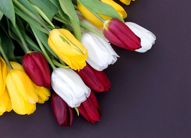 Bouquet of tulips on dark background