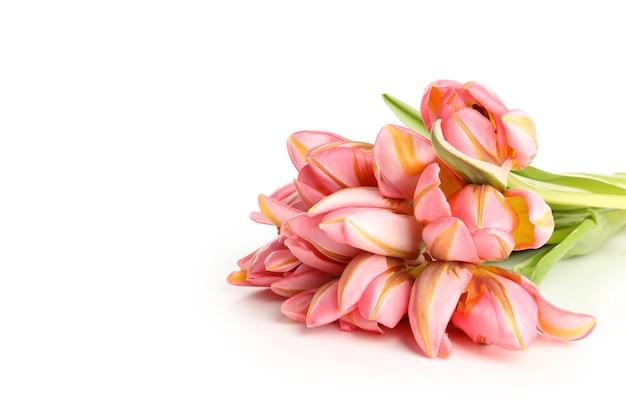 Bouquet of tulips isolated on white background